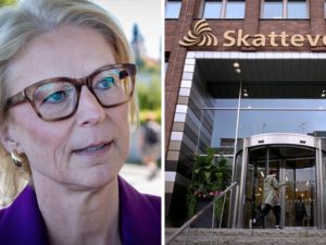 Sms avslöjar Skatteverkets och regeringens plan i skattehärvan