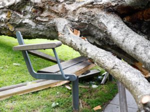 SMHI om starka vindarna: ”Hör till ovanligheterna”